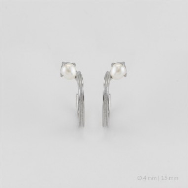 Silver Earrings