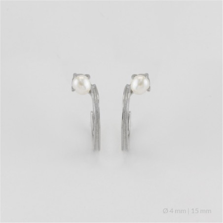 Silver Earrings