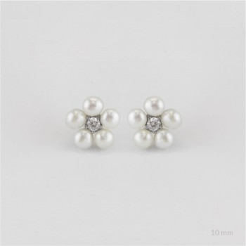 Pendientes de Plata de Ley