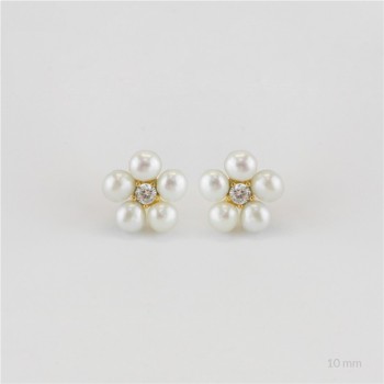 Pendientes de Plata de Ley