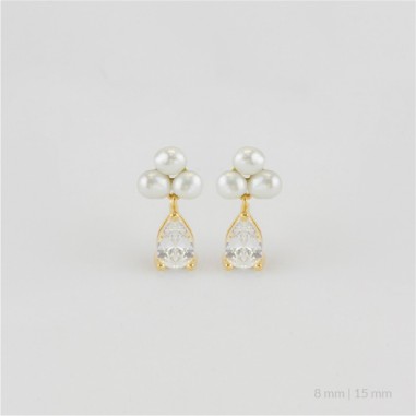 Pendientes de Plata de Ley