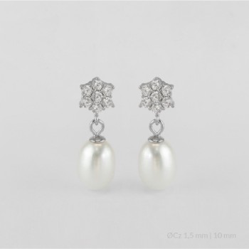 Pendientes de Plata de Ley