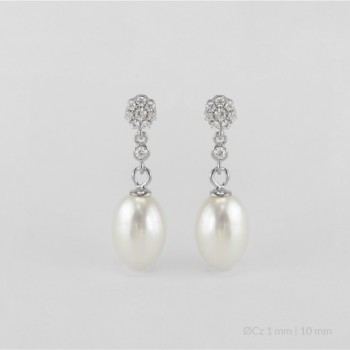 Pendientes de Plata de Ley
