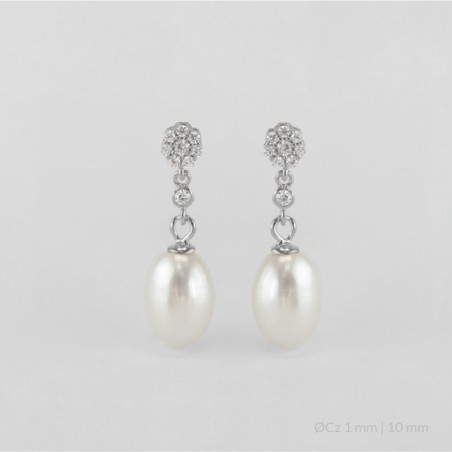 Pendientes de Plata de Ley