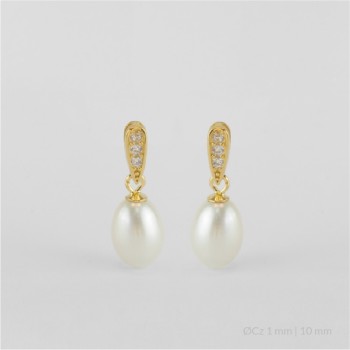 Pendientes de Plata de Ley