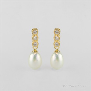 Pendientes de Plata de Ley