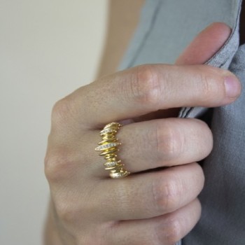 Anillo de Plata de Ley 2