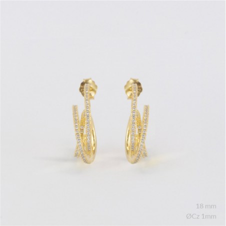 Boucles d'oreilles en Argent