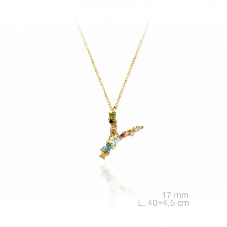 Garg. Inicial cir.color NAME "Y" Dorada